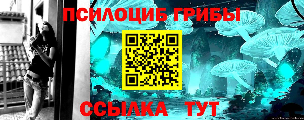 Псилоцибиновые грибы Psilocybe  Галлюциногенные грибы Magic Shrooms  купить закладку  Дзержинский  Вход с VPN 