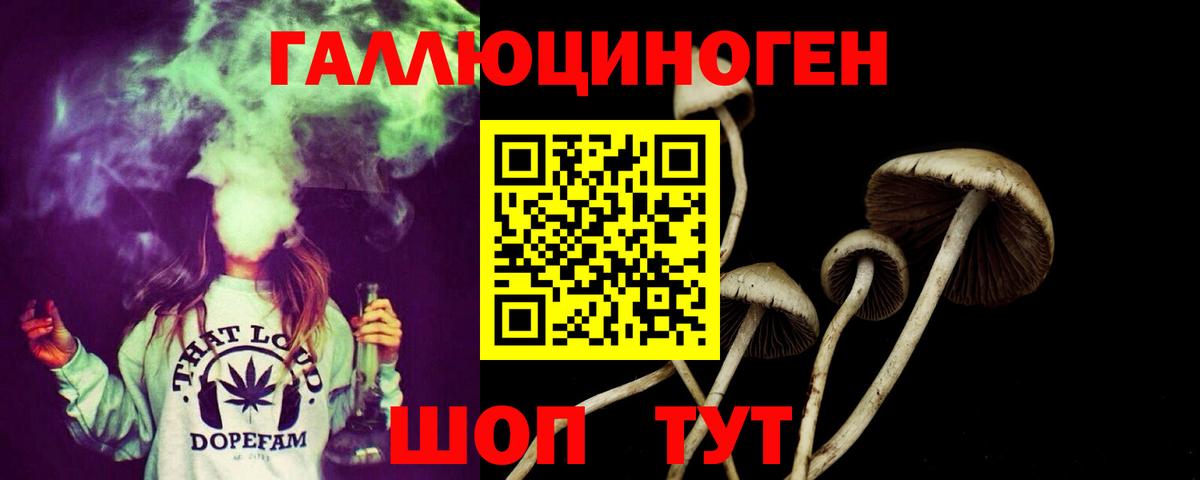 Галлюциногенные грибы GOLDEN TEACHER Дзержинский